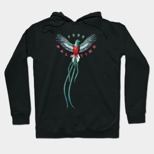 Free Palestine Bird of Freedom Solidarity Design with Palestinian Flag Colors Hoodie